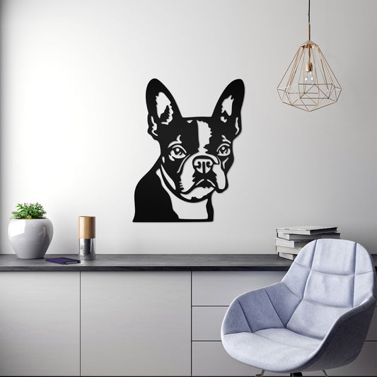 Boston Terrier